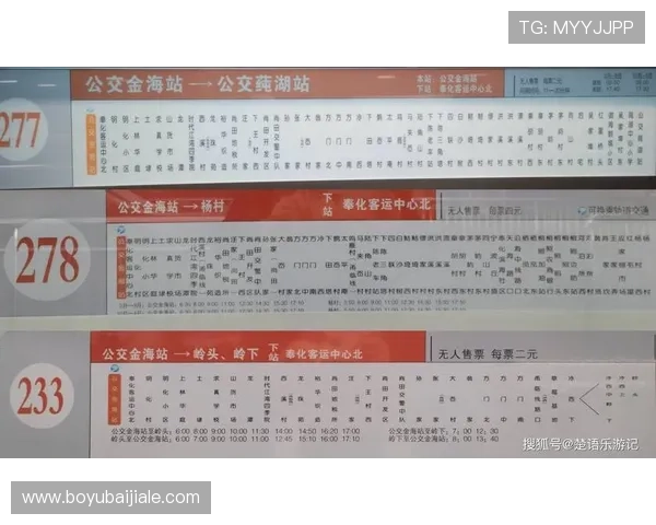 百家乐下三路图解实战经验分享结合图示帮助玩家理解不同走势的应对策略 百家乐下三路图解实战经验分享结合图示帮助玩家理解不同走势的应对策略