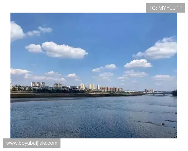 如何在AG视讯直营官网实现快速提款与资金安全保障的详细流程