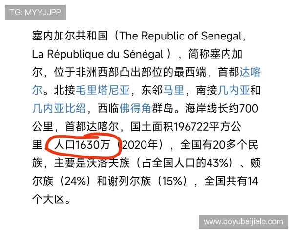 世界杯挪威对阵塞内加尔后防线详细分析与战术布局解析